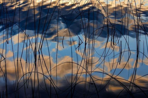 Autumn reflections in Spencer Lake near Whitefish-Montana-USA